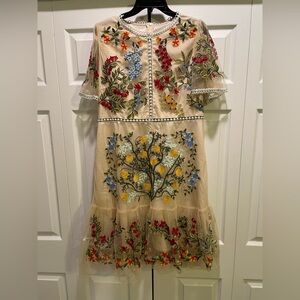 Embroidered Dress